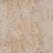 Beige V1