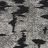 Black 05